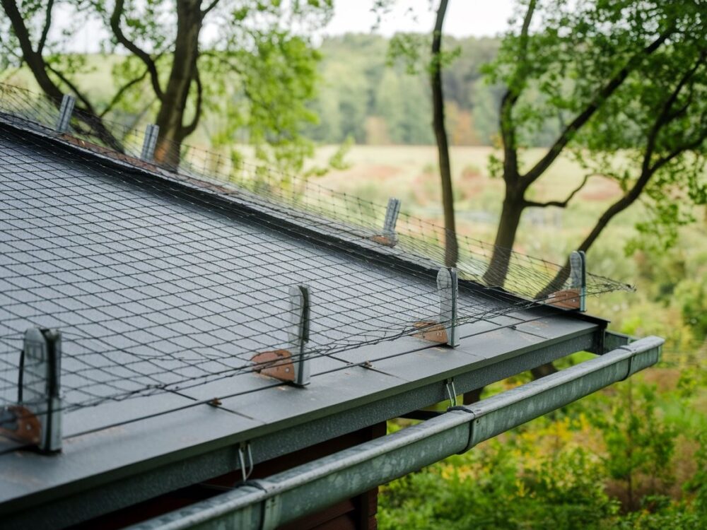 Zabezpieczanie dachu przed kunami